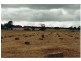 Lot 2 Tod Highway Pearlah via, Port Lincoln SA 5606