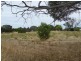 Lots 49 50 62 Sabine Street, Coulta SA 5607