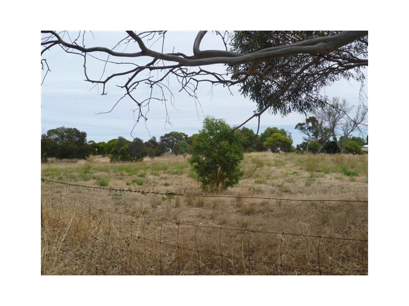 Lots 49 50 62 Sabine Street, Coulta SA 5607