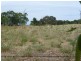 Lots 49 50 62 Sabine Street, Coulta SA 5607