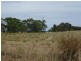 Lots 49 50 62 Sabine Street, Coulta SA 5607