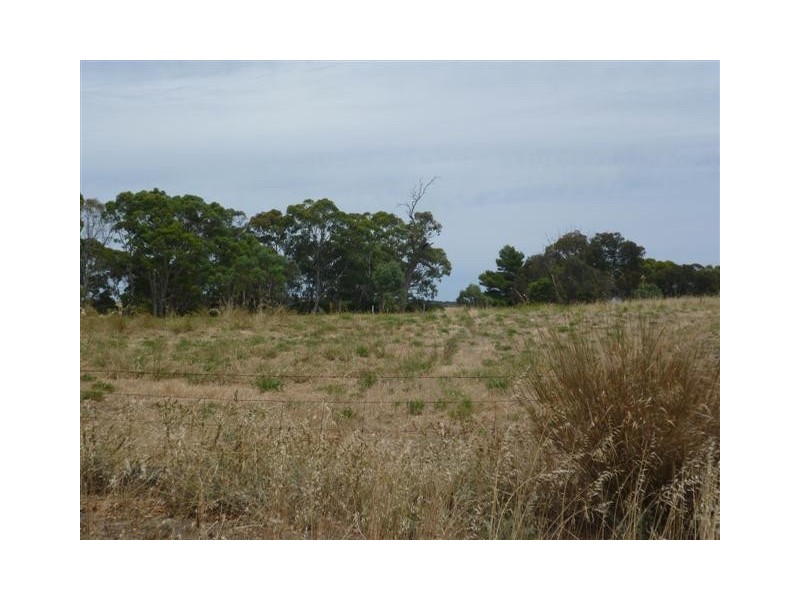 Lots 49 50 62 Sabine Street, Coulta SA 5607