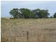 Lots 49 50 62 Sabine Street, Coulta SA 5607