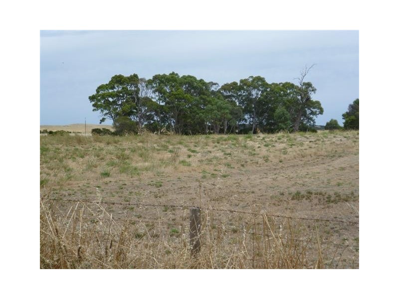 Lots 49 50 62 Sabine Street, Coulta SA 5607