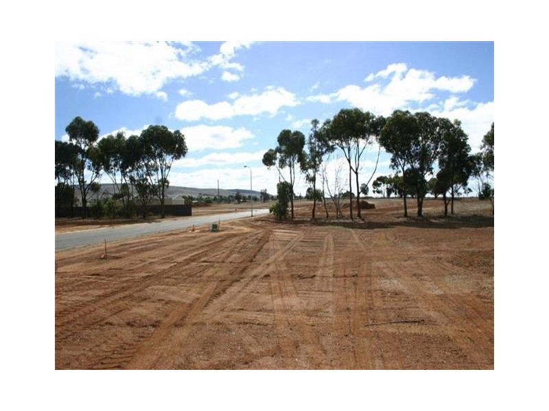 Poonindie Estate, Poonindie SA 5607