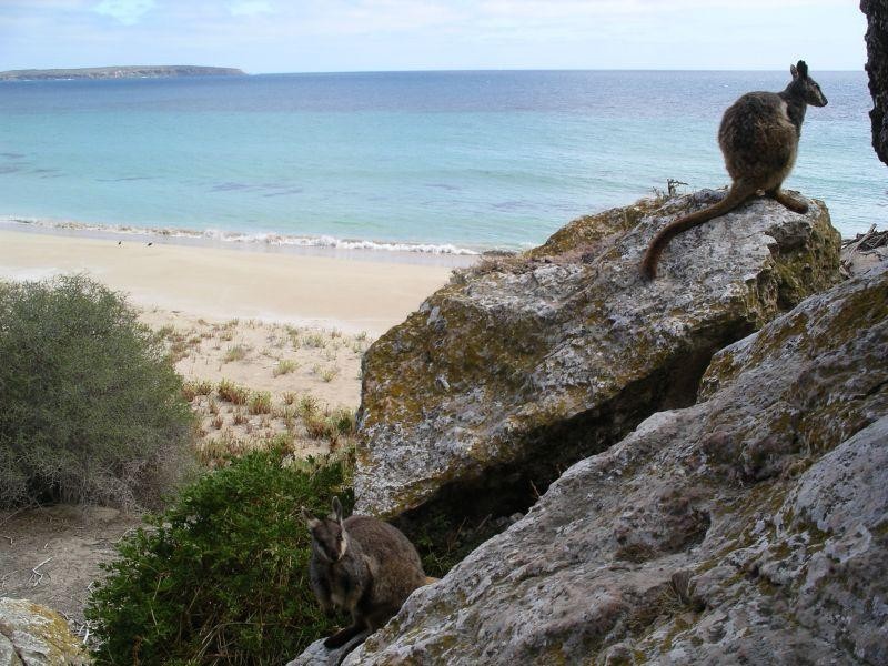 54 Wedge Island, Port Lincoln SA 5606