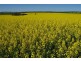 Lot 2 Hundred of Brooker, COCKALEECHIE via, Cummins SA 5631