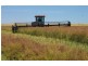 Lot 2 Hundred of Brooker, COCKALEECHIE via, Cummins SA 5631