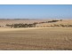 Lot 2 Hundred of Brooker, COCKALEECHIE via, Cummins SA 5631