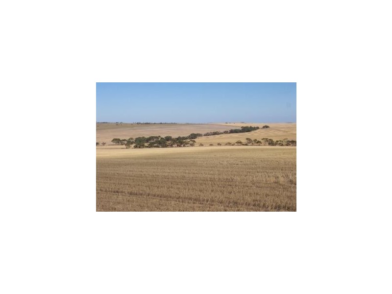 Lot 2 Hundred of Brooker, COCKALEECHIE via, Cummins SA 5631