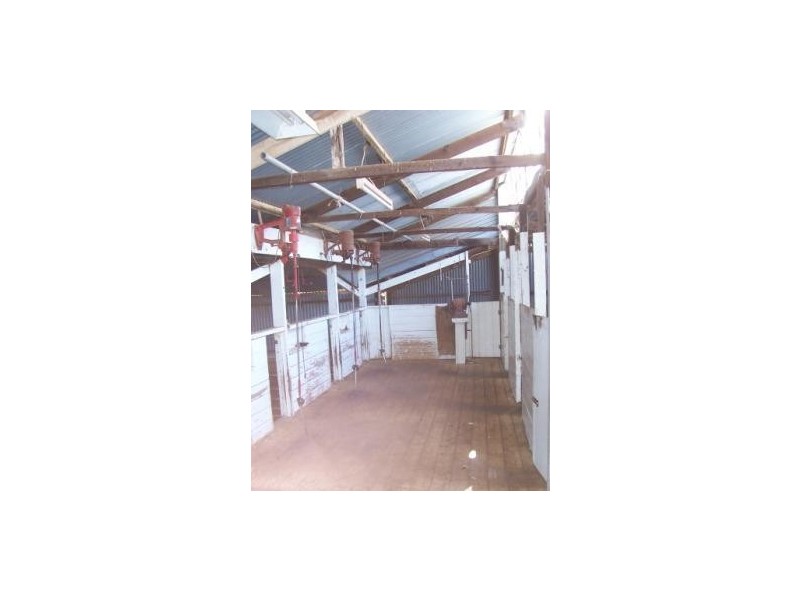 Lot 2 Hundred of Brooker, COCKALEECHIE via, Cummins SA 5631