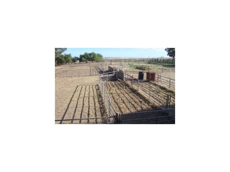 Lot 2 Hundred of Brooker, COCKALEECHIE via, Cummins SA 5631