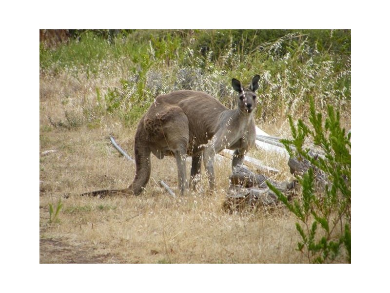 Lot 91 Sleaford Bay Road, Sleaford via, Port Lincoln SA 5606