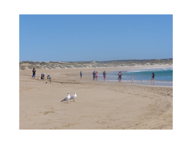 Lot 52 Second Street, Sheringa SA 5607