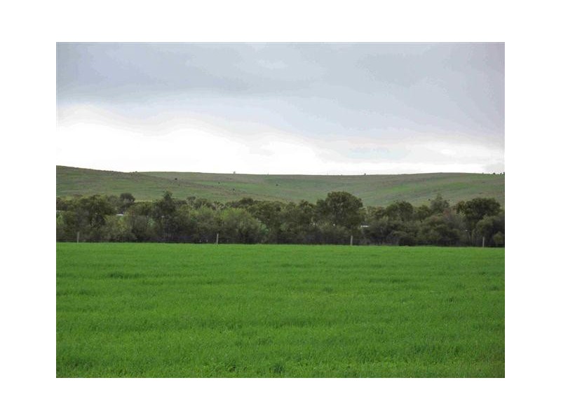 Lot 12 Stirlings Road, Tumby Bay SA 5605