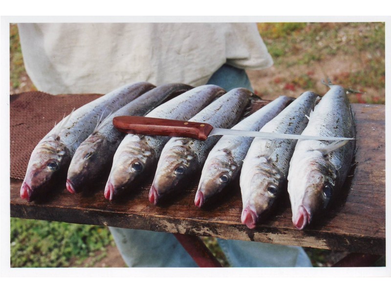 30 Carrow Terrace, Port Neill SA 5604