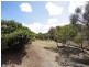 9 Flinders Avenue, Port Lincoln SA 5606