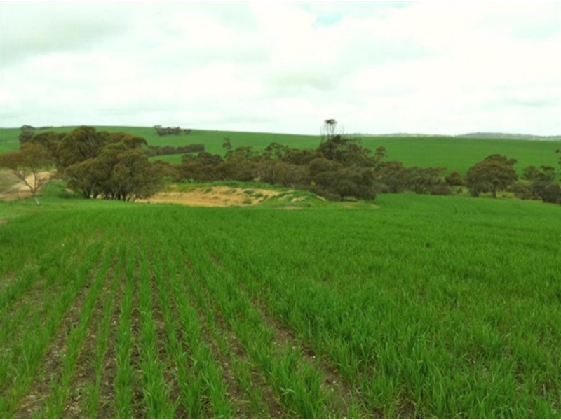 Lot 34 Hundred of Stokes, Cummins SA 5631