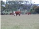 Lot 10 Hundred of Wanilla, Wanilla SA 5607