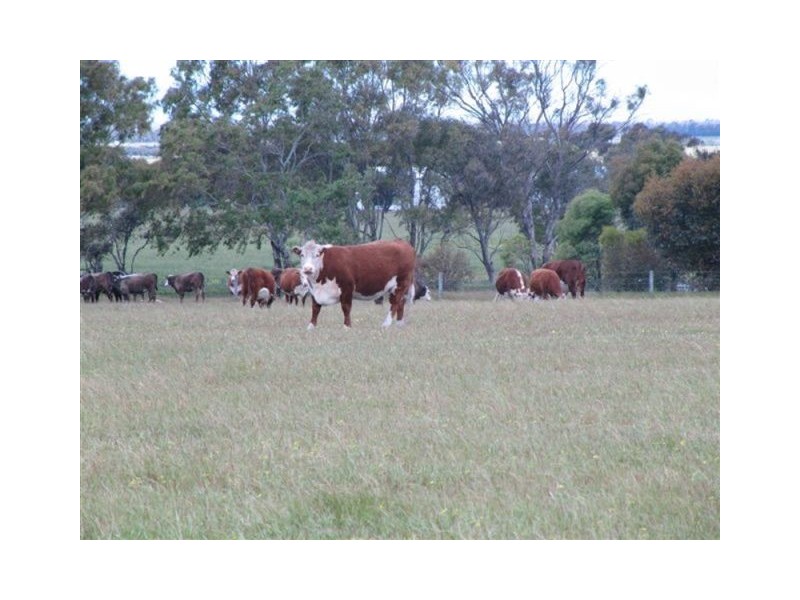 Lot 10 Hundred of Wanilla, Wanilla SA 5607