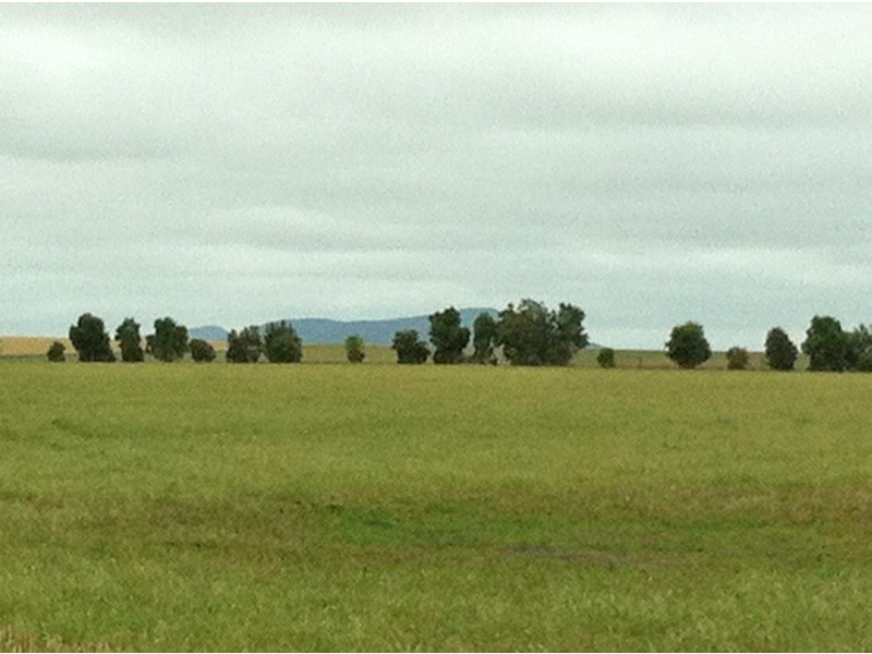 Lot 10 Hundred of Wanilla, Wanilla SA 5607