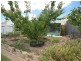 1 Stroud Terrace, Port Lincoln SA 5606