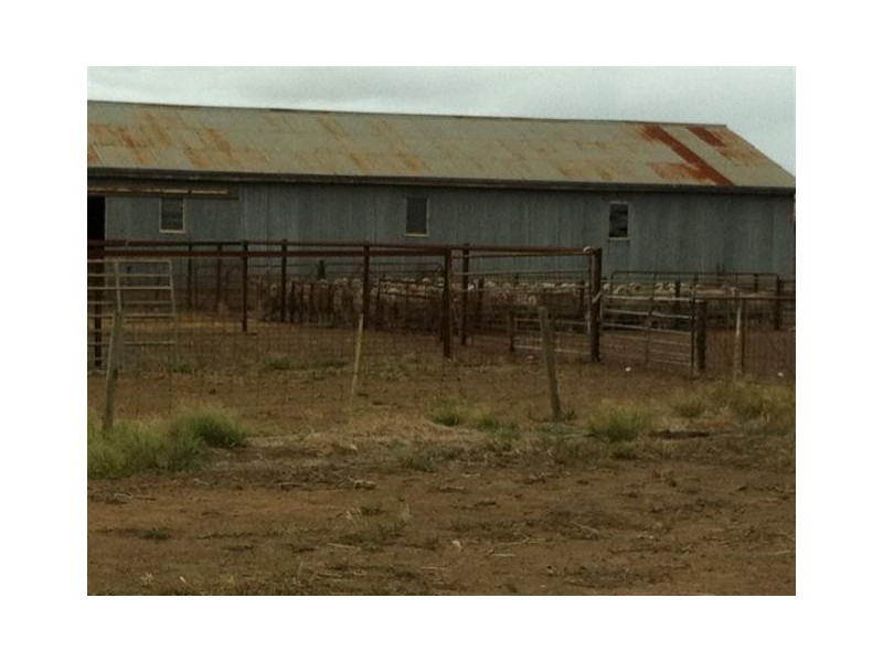 Section 30 Hd Mortlock “Ayrlee”, Cummins SA 5631