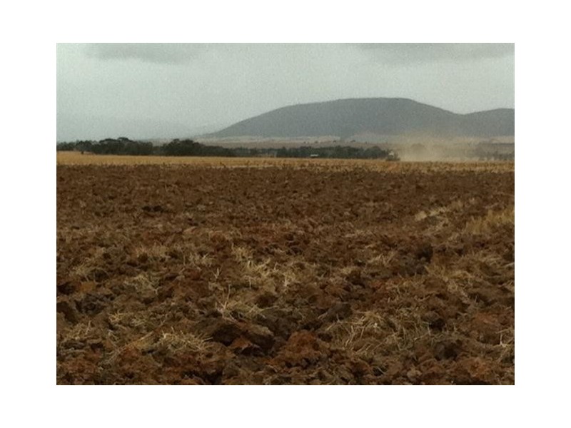 Section 30 Hd Mortlock “Ayrlee”, Cummins SA 5631