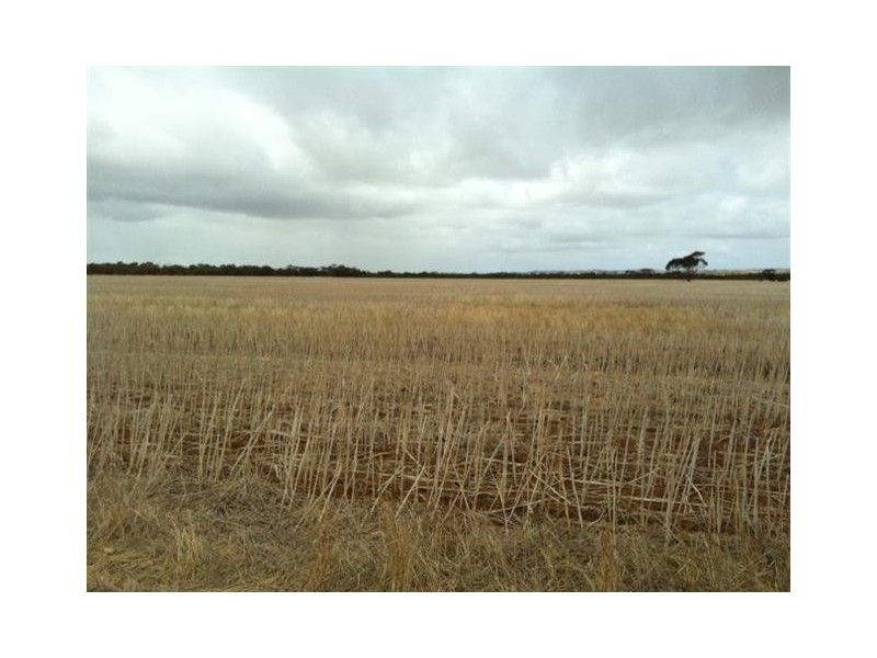 Section 30 Hd Mortlock “Ayrlee”, Cummins SA 5631