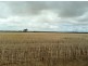 Section 30 Hd Mortlock “Ayrlee”, Cummins SA 5631