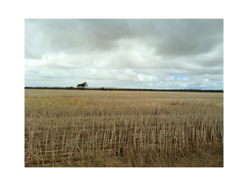 Section 30 Hd Mortlock “Ayrlee”, Cummins SA 5631