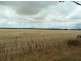 Section 30 Hd Mortlock “Ayrlee”, Cummins SA 5631