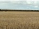 Section 30 Hd Mortlock “Ayrlee”, Cummins SA 5631