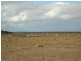 Sec 312+313 Hundred of Yaranyacka, Lipson SA 5607
