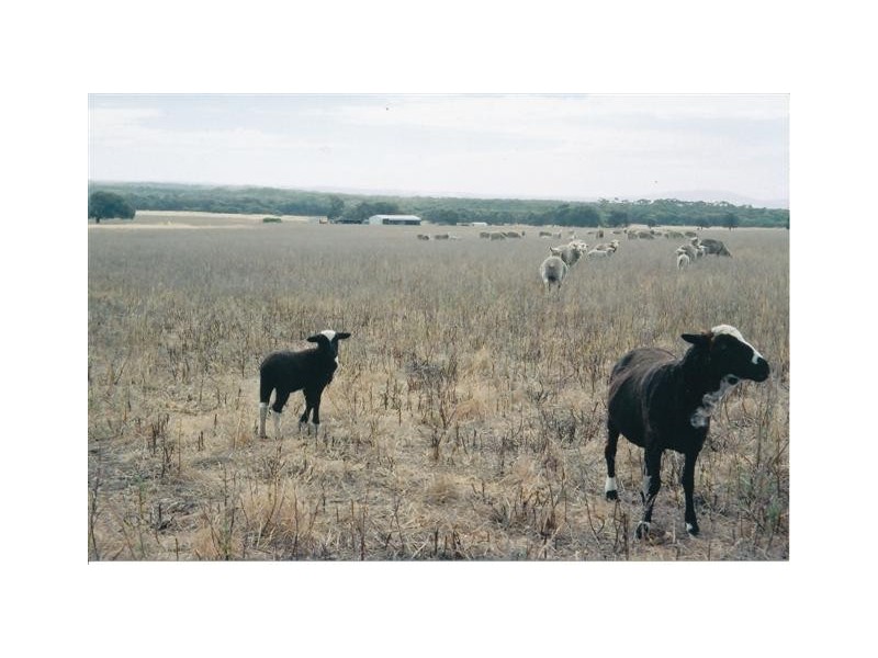 Lot 2 Todd Highway, Pearlah via Port Lincoln, Port Lincoln SA 5606