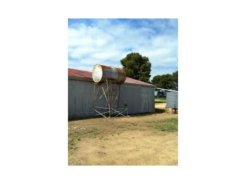 Sec 30 Hd Shannon “Kylinco”, Karkoo SA 5607