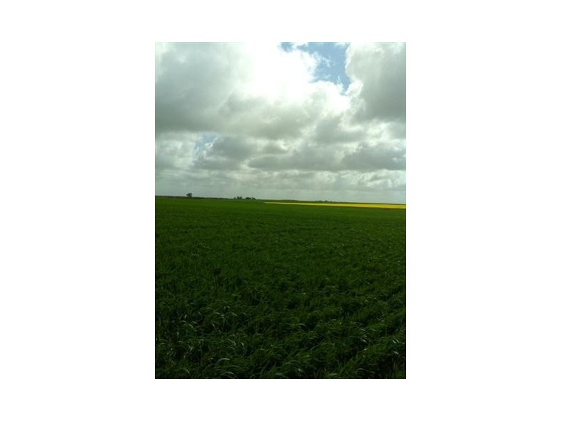 Sec 30 Hd Shannon “Kylinco”, Karkoo SA 5607