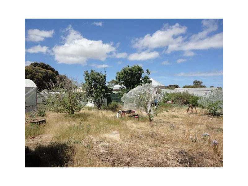 Lot 62 South Terrace, Lipson SA 5607