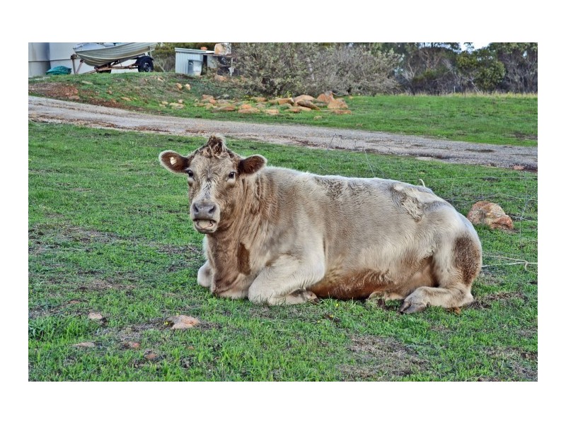 Lot 13 Panoramic Drive, Port Lincoln SA 5606