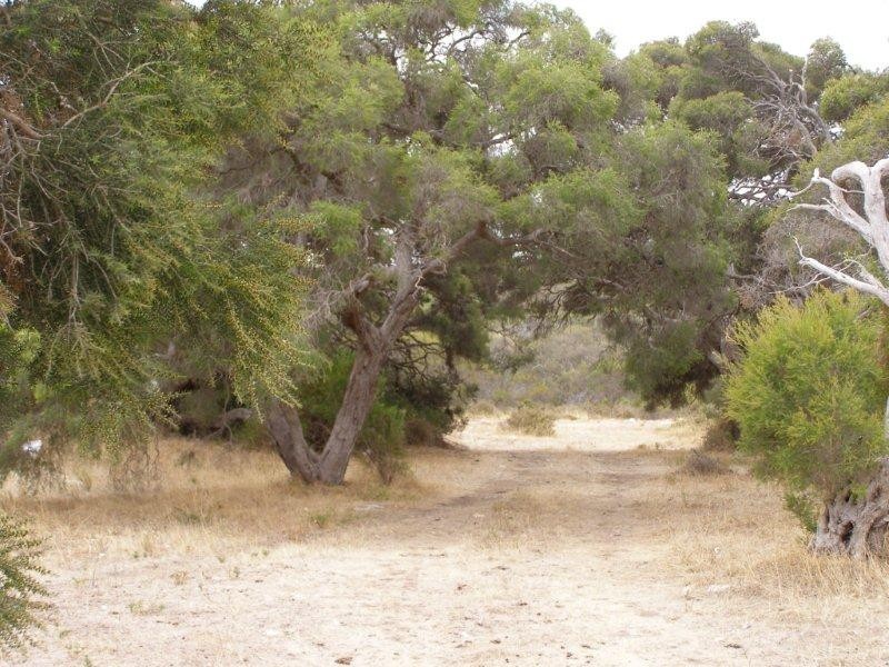 11 Grimm Road, Coffin Bay SA 5607