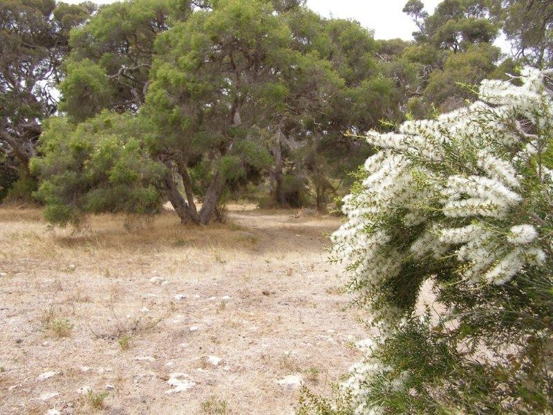 11 Grimm Road, Coffin Bay SA 5607