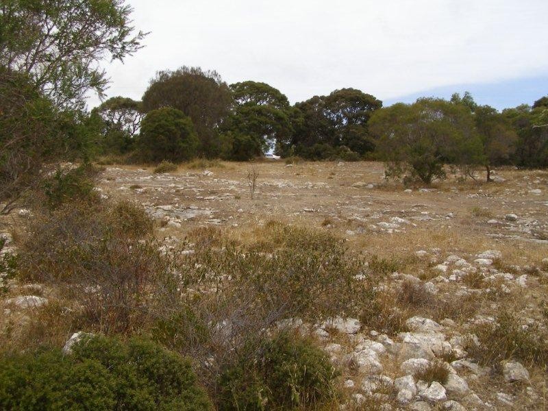 11 Grimm Road, Coffin Bay SA 5607