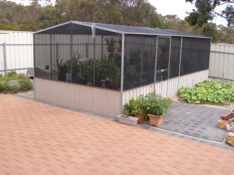 11 Pine Crescent, Coffin Bay SA 5607