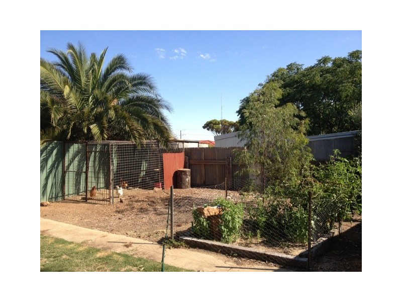 4 Walkom Street, Cummins SA 5631