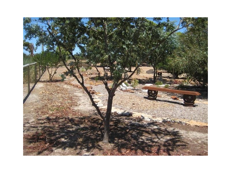 Lot 121 Wangary Street, Wanilla SA 5607