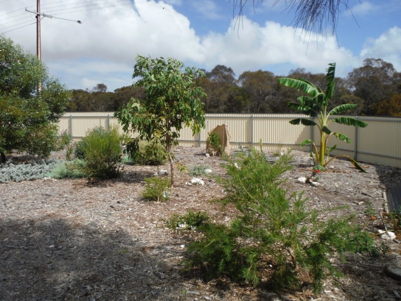 50 Shepperd Avenue, Coffin Bay SA 5607