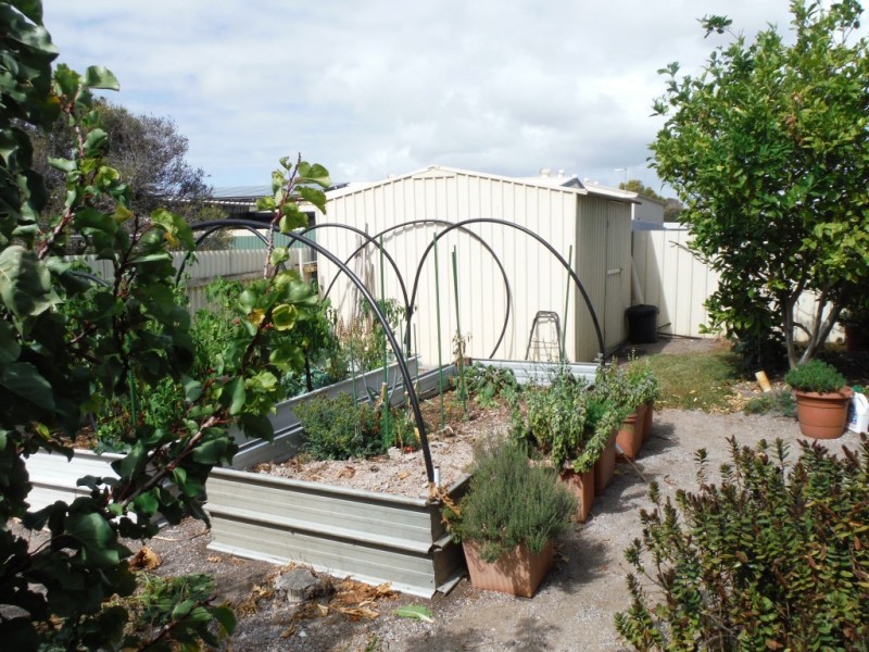 50 Shepperd Avenue, Coffin Bay SA 5607