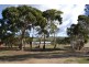 11-15 Hidden Valley Lane, Boston SA 5607