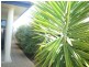 1/11 Laguna Drive, Port Lincoln SA 5606