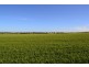 Lot 12 Stirlings Road, Tumby Bay SA 5605